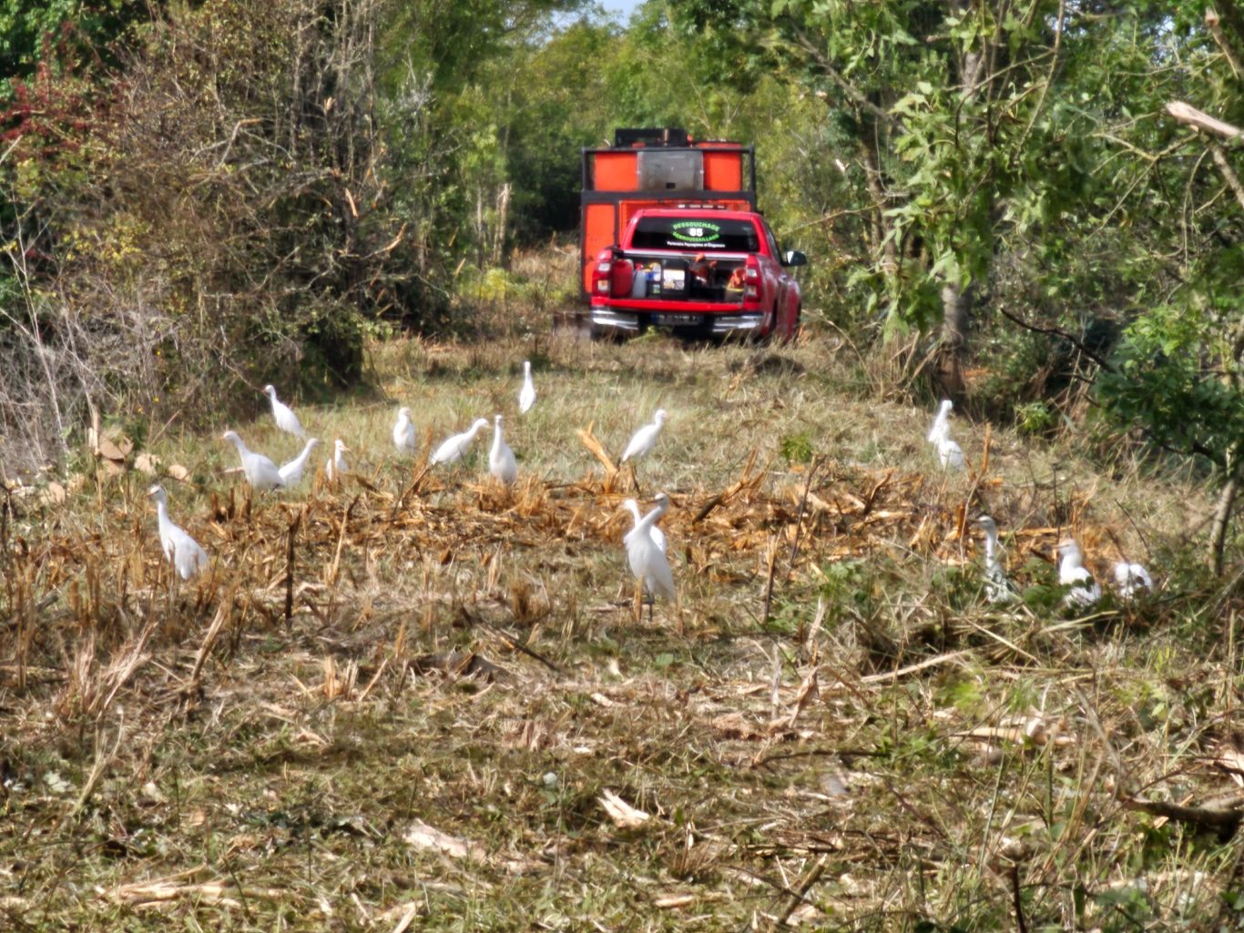 Nettoyage digue Digue 2023