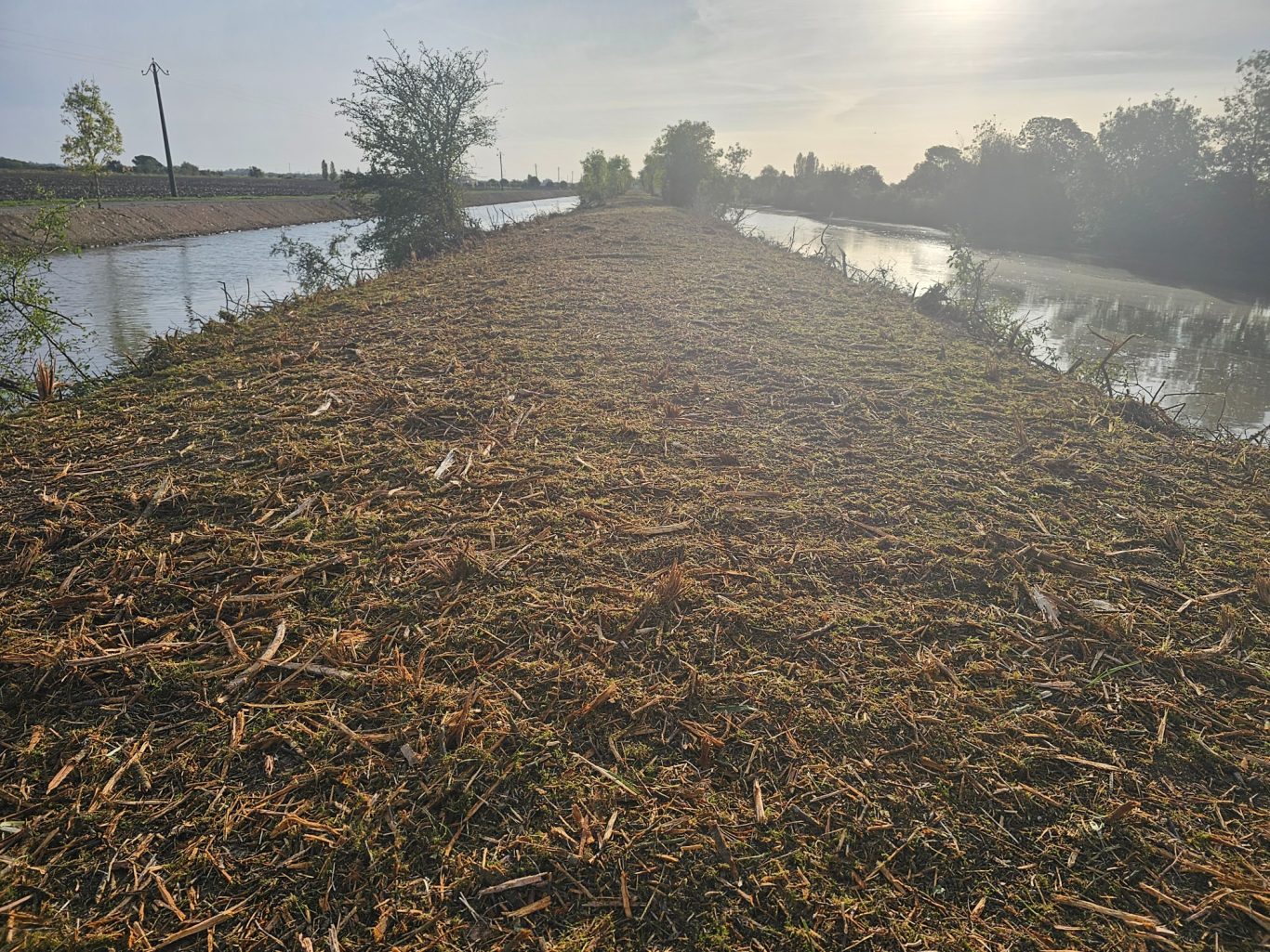 Broyage digue Digue 2023